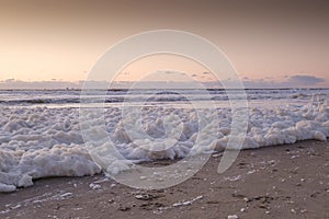Sea foam, a habitat for marine microorganisms such as zooplankton, phytoplankton, algae, and protozoans. On coastal beach at