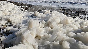 Sea foam, thrown ashore by the storm