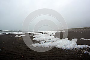 Sea foam along the coast of Camperduin, province of North Holland photo