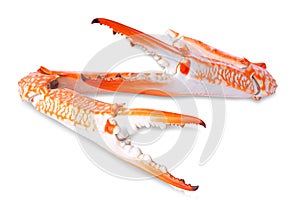 Sea food, Boiled crab claws on white background