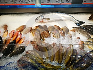 Sea food counter at gourmet supermarket