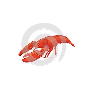 Sea food crawfish. crawfish food icon isolated.