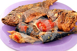 Sea food cuisine of various fishes, fried Nile tilapia fishes Oreochromis Niloticus fried in deep oil fryer with mackerel pelagic