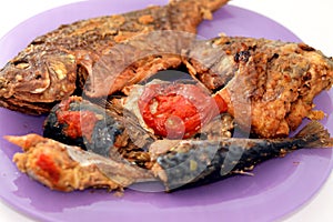 Sea food cuisine of various fishes, fried Nile tilapia fishes Oreochromis Niloticus fried in deep oil fryer with mackerel pelagic