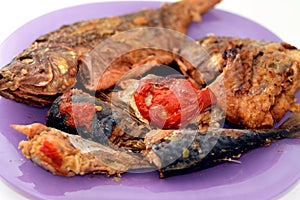 Sea food cuisine of various fishes, fried Nile tilapia fishes Oreochromis Niloticus fried in deep oil fryer with mackerel pelagic