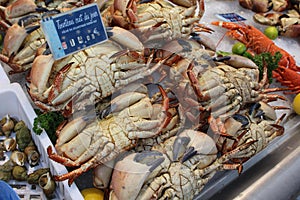 Sea food of France photo