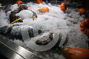 Sea food on ice