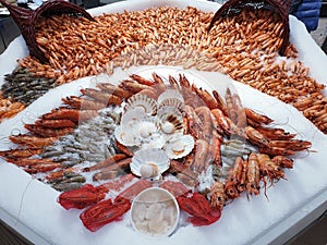 Sea food lobster diversity