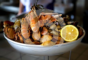 Sea food plate