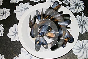 Sea food plate on a tabel