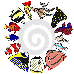 Sea and freshwater tropical fishes in circle