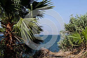 Sea of Galilee