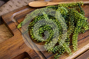 Sea Grapes (Caulerpa Lentillifera) seaweed