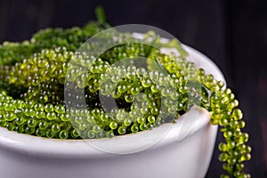 Sea grapes ( green caviar ) seaweed