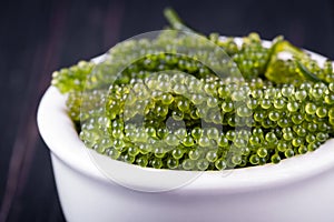 Sea grapes ( green caviar ) seaweed