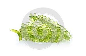 Sea grapes green caviar seaweed isolated on white background