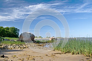 Sea, grass and a blue sky