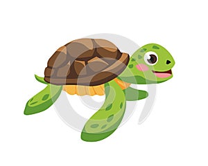 Sea green turtle. Cartoon illustration