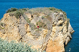 Sea gull attack in Batata beach, Lagos, Algarve, Portugal