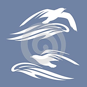 Sea gull bird above ocean wave vector silhouette