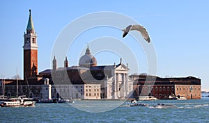 Sea gull bird with spread wings in flight and the basilica of san giorgio of venice in the background