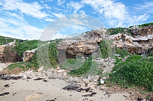 Sea Gulls and Caves: Penguin Island