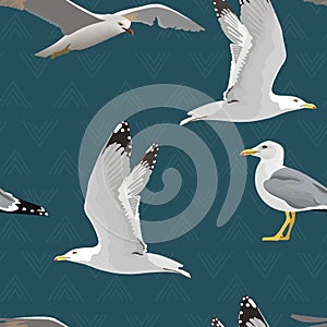 Sea gulls seamless pattern. Hovering, soaring, standing, with folded wings, resting, curious. Flying mew