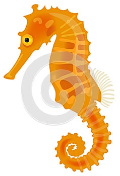 Sea horse