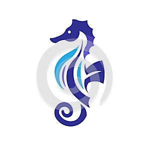 Sea Horse creative vector illustration
