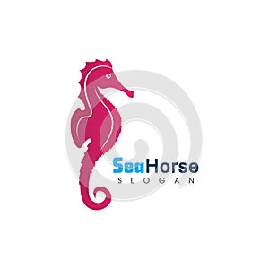 Sea Horse icon logo and symbol creative vector illustration
