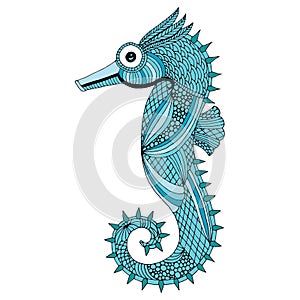 Sea horse illustration