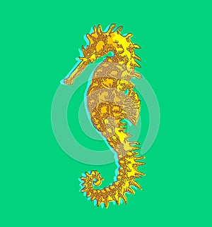Sea horse, isolated, seafood concept, menu design, icon, graphic symbol, vector illustration on color
