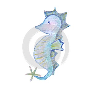 sea horse sea ocean element watercolor illustration isolated on white background base for textile tableware design photo