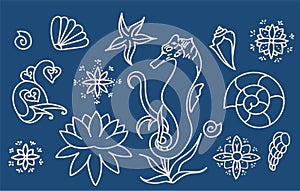 Sea horse, shells and doodle elements. Graphic sea life collection. Vector ocean creatures isolated on dark blue background. Set