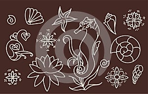 Sea horse, shells and doodle elements. Graphic sea life collection. Vector ocean creatures isolated on dark brown background.