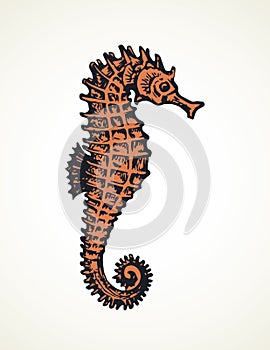 Sea Horse. Vector drawing