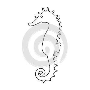 Sea horse vector icon.Outline vector icon isolated illustration on white background sea horse.