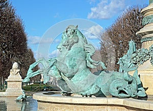 The sea horses of the fountain Carpeaux Paris France.