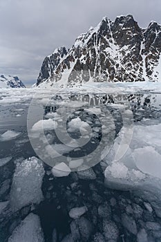 Sea ice in Pleneau Bay - Lamaire Channel - Antarctica