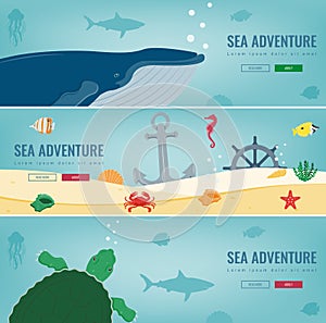 Sea icons and symbols set. Sea animals. Nautical design elements. Concept website template. Vector