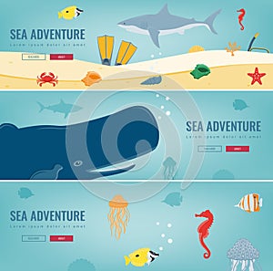 Sea icons and symbols set. Sea animals. Nautical design elements. Concept website template. Vector