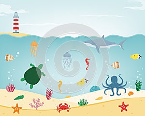 Sea icons and symbols set. Sea animals. Nautical design elements. Vector