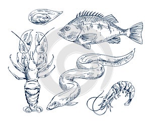 Sea Inhabitant Illustration for Seafood Restaurant