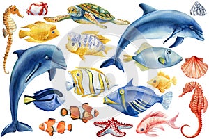 Sea inhabitants, dolphins and fish on an isolated white background. Watercolor painting