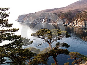 The Sea of Japan, coast of Far East Marine Biosphere Reserve