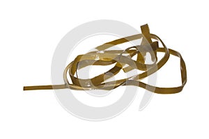 Sea kale isolated on white background