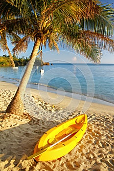 Sea kayak on the beach near palm tree