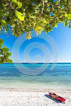 Sea kayak at the lonely Anda white beach of Bohol Islands of Phi photo