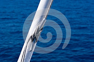 Sea knot on a white flagpole on sail boat on water surface