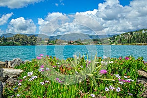 Sea lagoon with turquoise water, colorful flowers and green grass